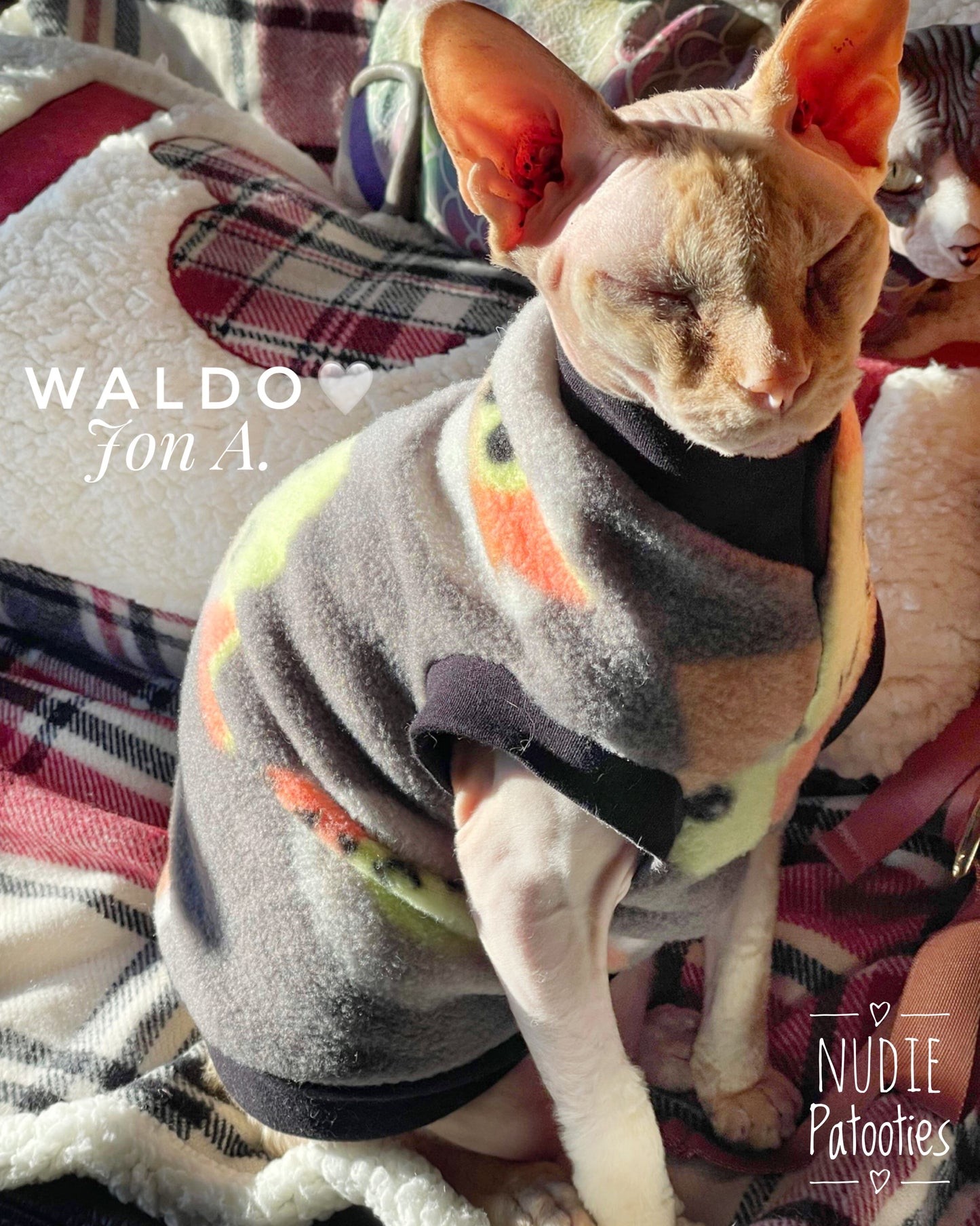 Gray Baby Fleece "Cutest Thing Ever"