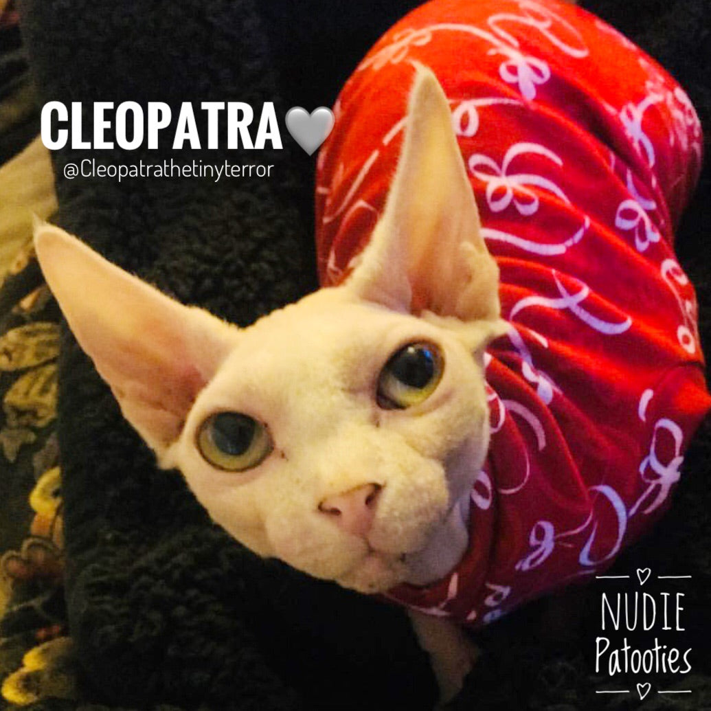 Wrap Me in Ribbon - Nudie Patooties