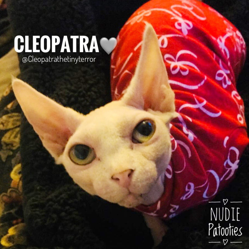 Wrap Me in Ribbon - Nudie Patooties