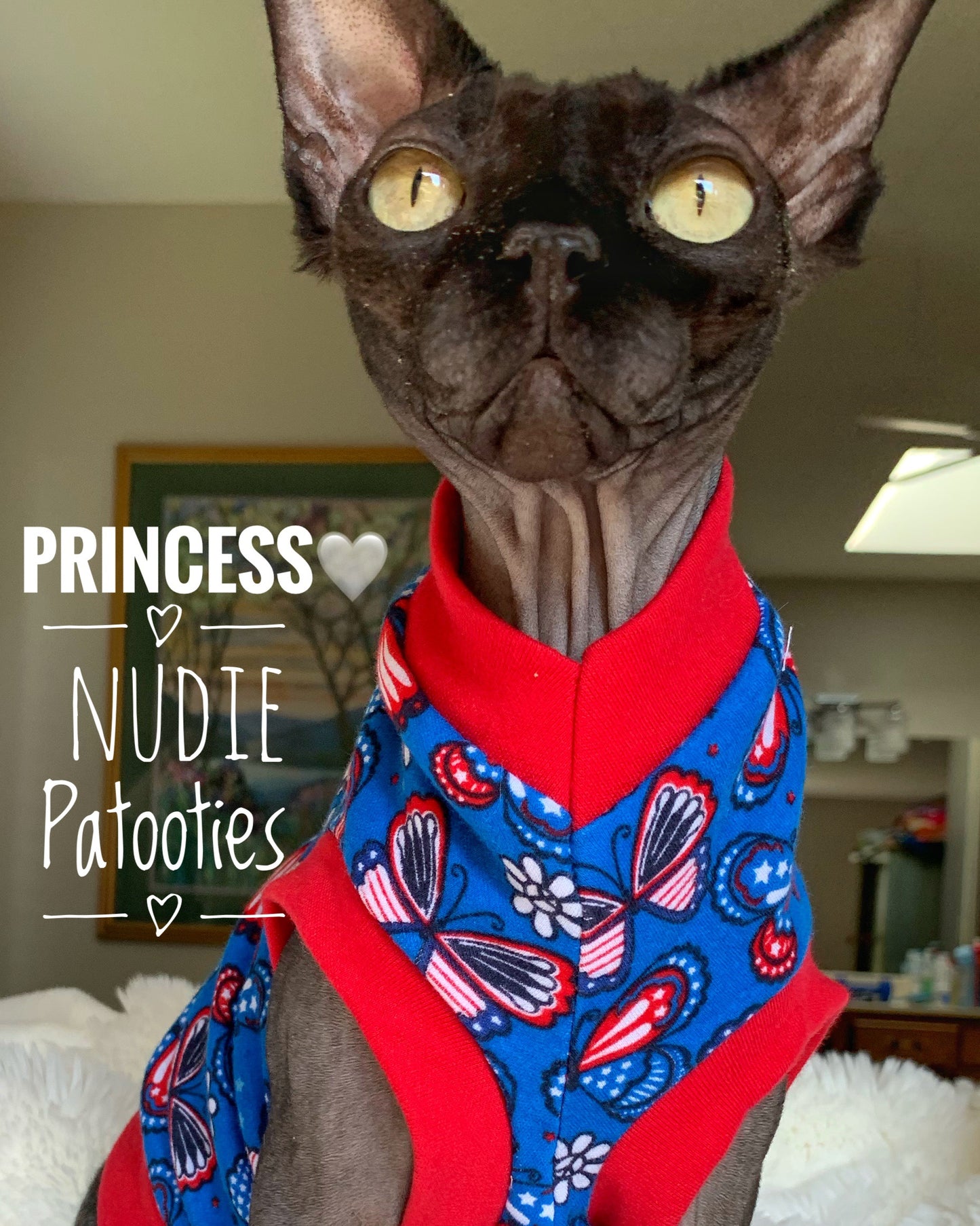 Butterflies - Nudie Patooties Sphynx cat clothes for your sphynx cat, sphynx kitten, Donskoy, Bambino Cat, cornish rex, peterbald and devon rex cat. Sphynx cat clothes