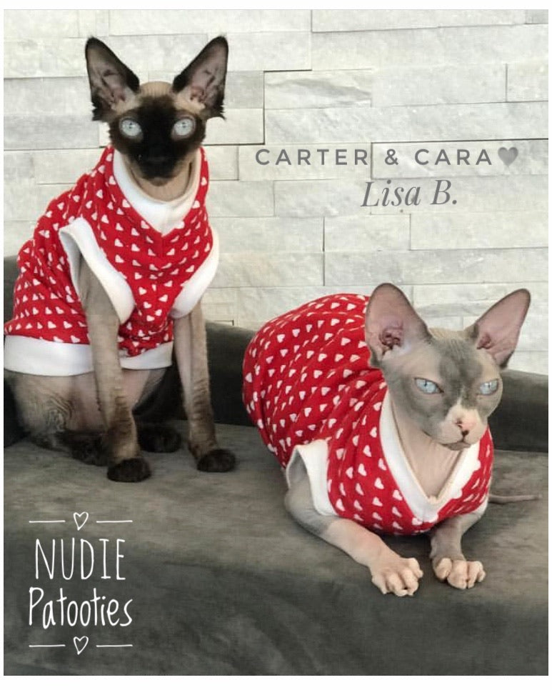 Red and white sphynx cat and kitten shirt. Sphynx cat clothes.