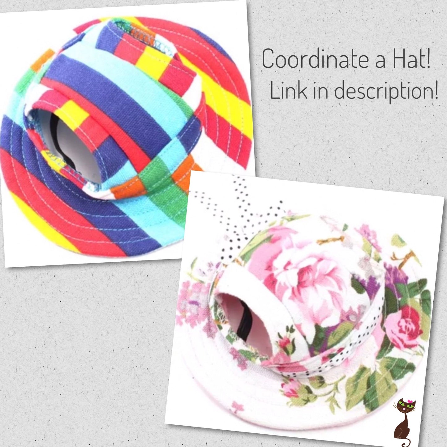 Sun Protection, Scales