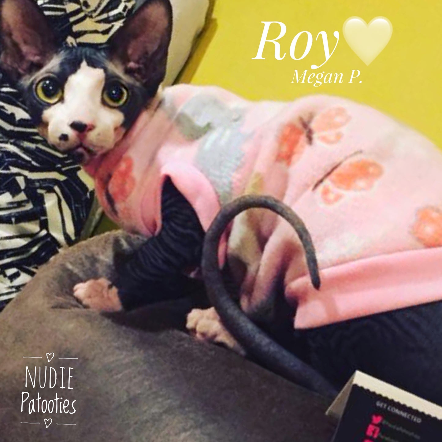 Bunnies and Butterflies Fleece for your sphynx, peterbald, cornish rex, bambino cat. Sphynx Cat Fleece Clothes / clothes for cats/ cat overalls /cat shirt/ cat sweater/ cat sweatshirt/ pet sweater/ Sphynx cat clothes/ Sphynx clothing / cats clothes/ shirt for cat/ cat clothes/ tattoo/ skull/ designer cat clothes/ cat pjs