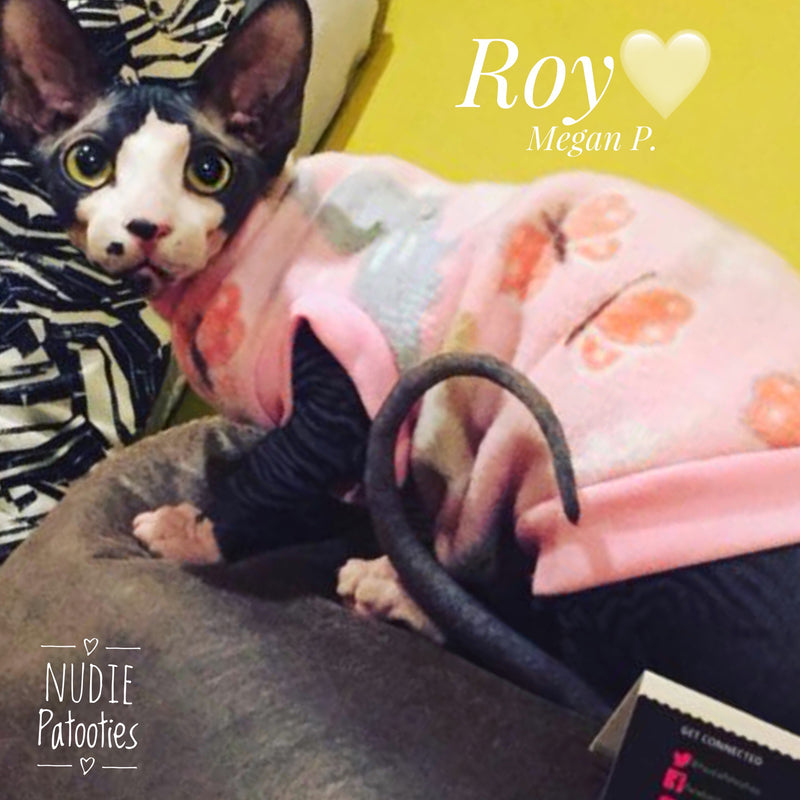 Bunnies and Butterflies Fleece for your sphynx, peterbald, cornish rex, bambino cat. Sphynx Cat Fleece Clothes / clothes for cats/ cat overalls /cat shirt/ cat sweater/ cat sweatshirt/ pet sweater/ Sphynx cat clothes/ Sphynx clothing / cats clothes/ shirt for cat/ cat clothes/ tattoo/ skull/ designer cat clothes/ cat pjs