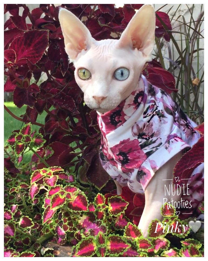 Sphynx cat and kitten shirt. Sphynx cat clothes.