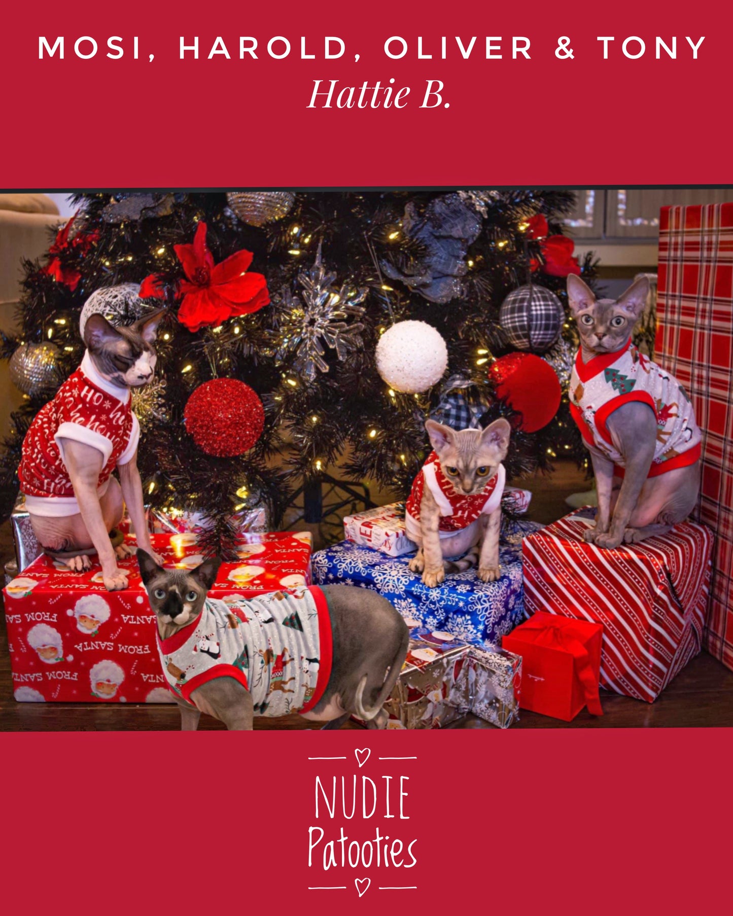 Christmas shirt for sphynx cat and kitten. Sphynx cat clothes.