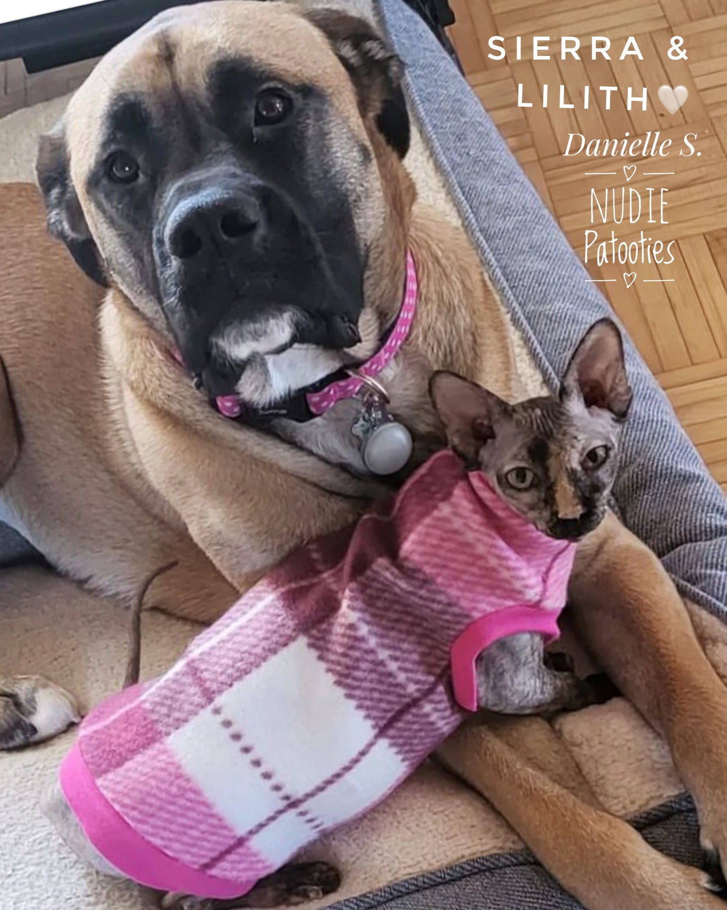 Ivory, Pink & Maroon Plaid Fleece "Purrfect Plaid"