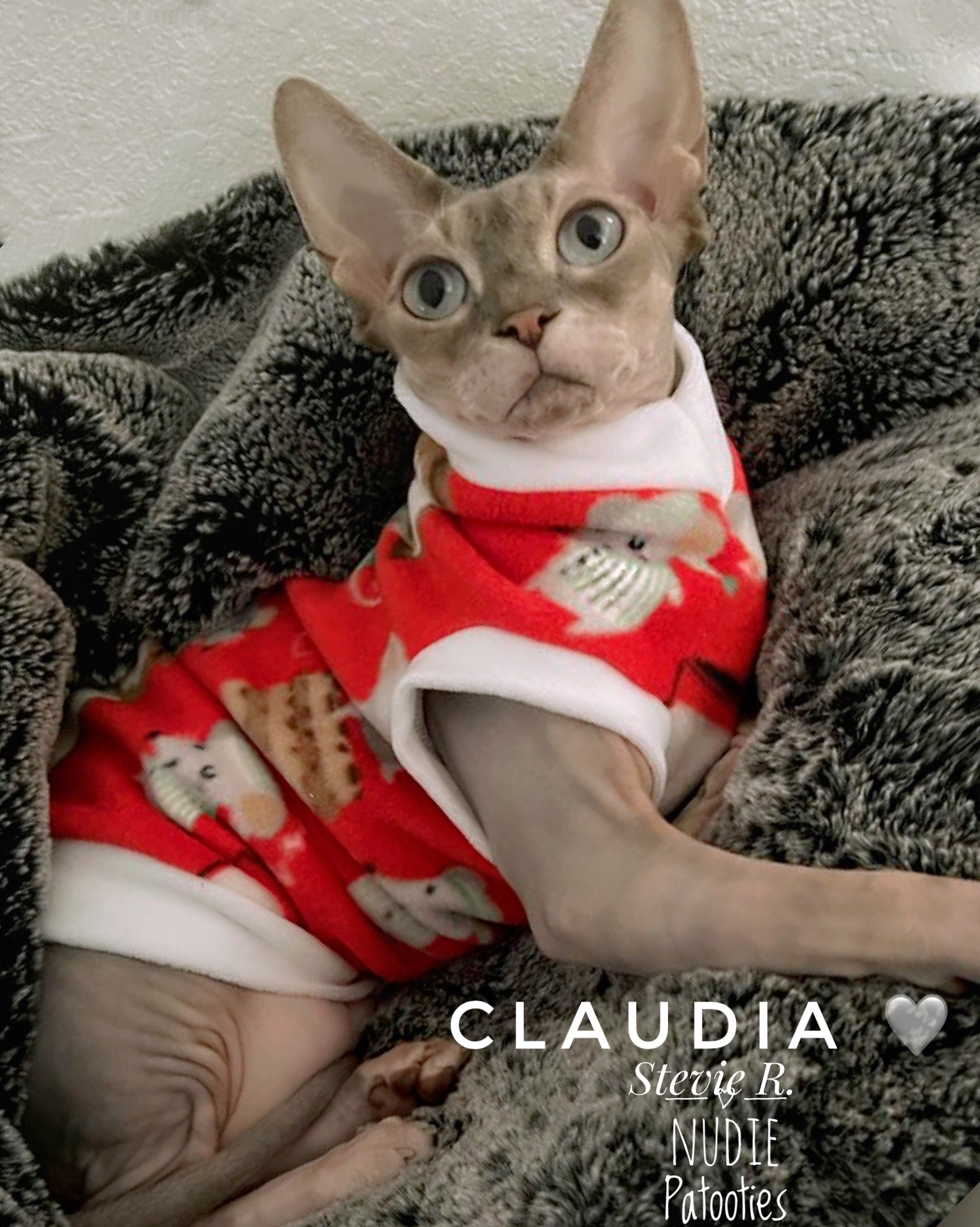Sphynx cat and kitten warm and soft fleece shirt. Sphynx cat clothes.