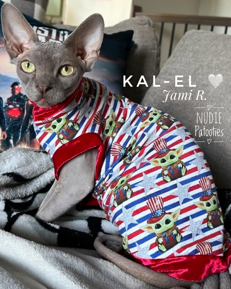 4th of July sphynx cat shirt. Sphynx cat clothes.