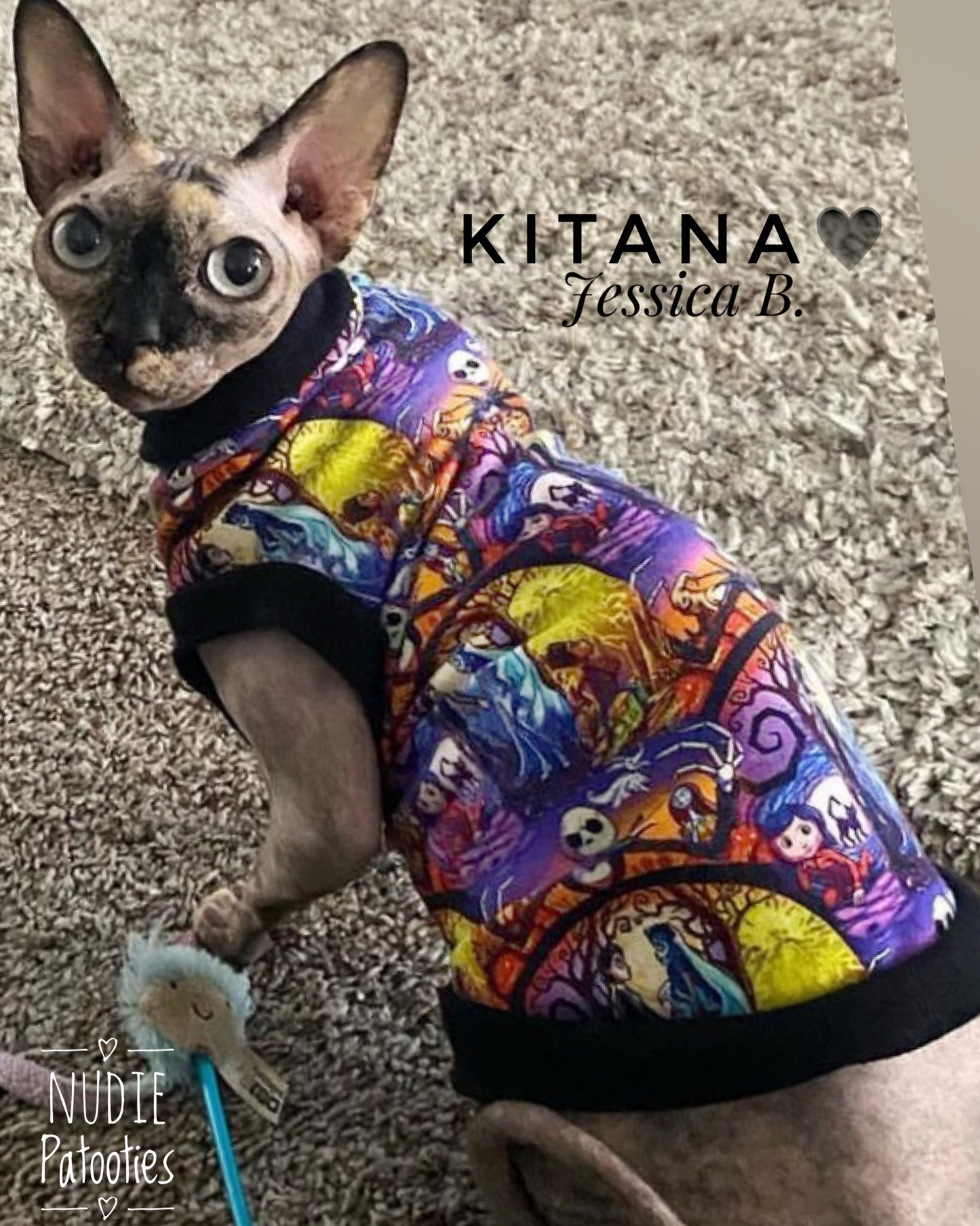 Sphynx cat and kitten shirt. Sphynx cat clothes.