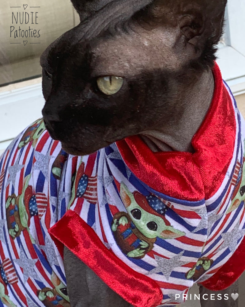 4th of July sphynx cat shirt.  Sphynx cat clothes. 