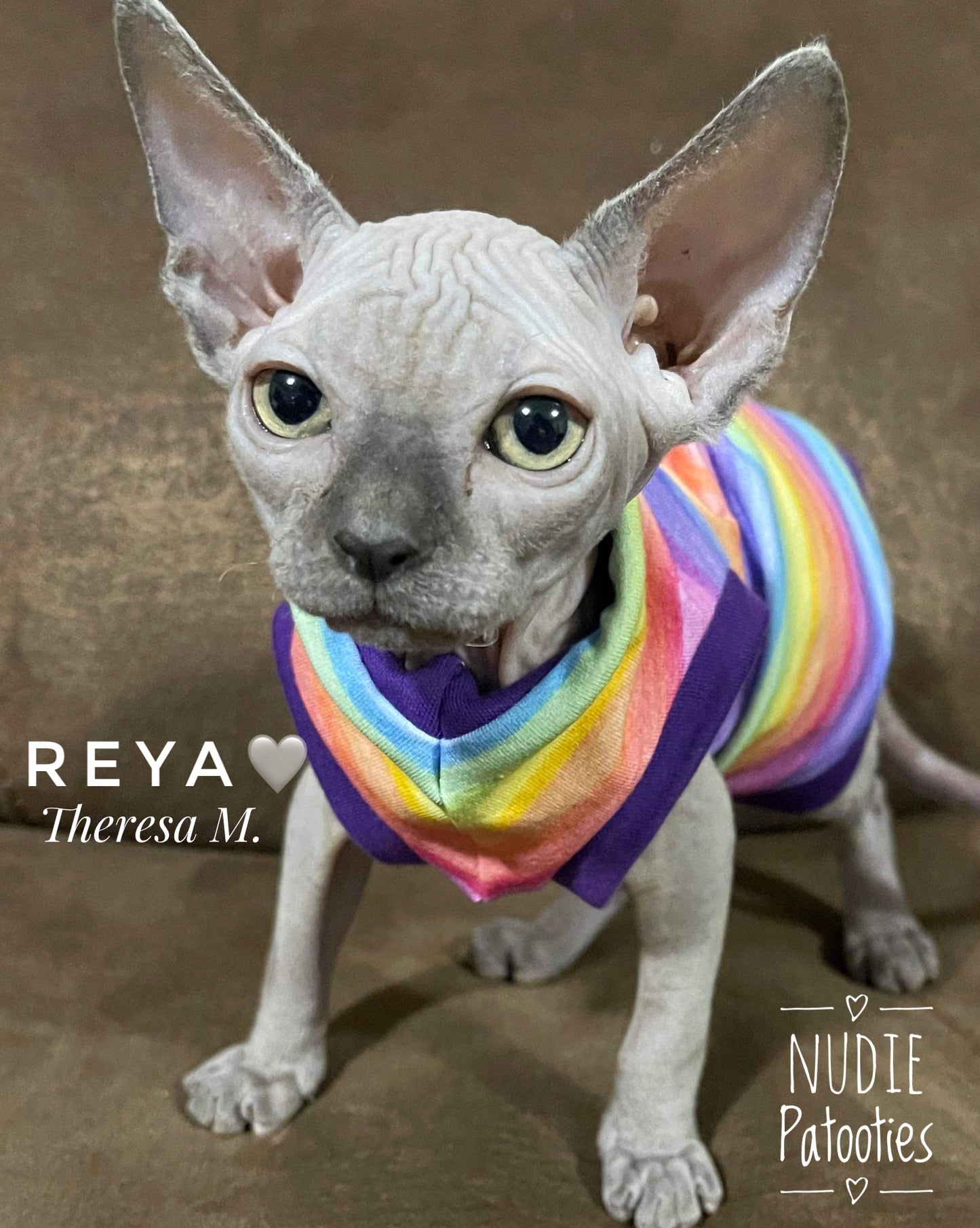 Stripe cotton blend sphynx cat shirt. Cat clothes, sphynx clothes