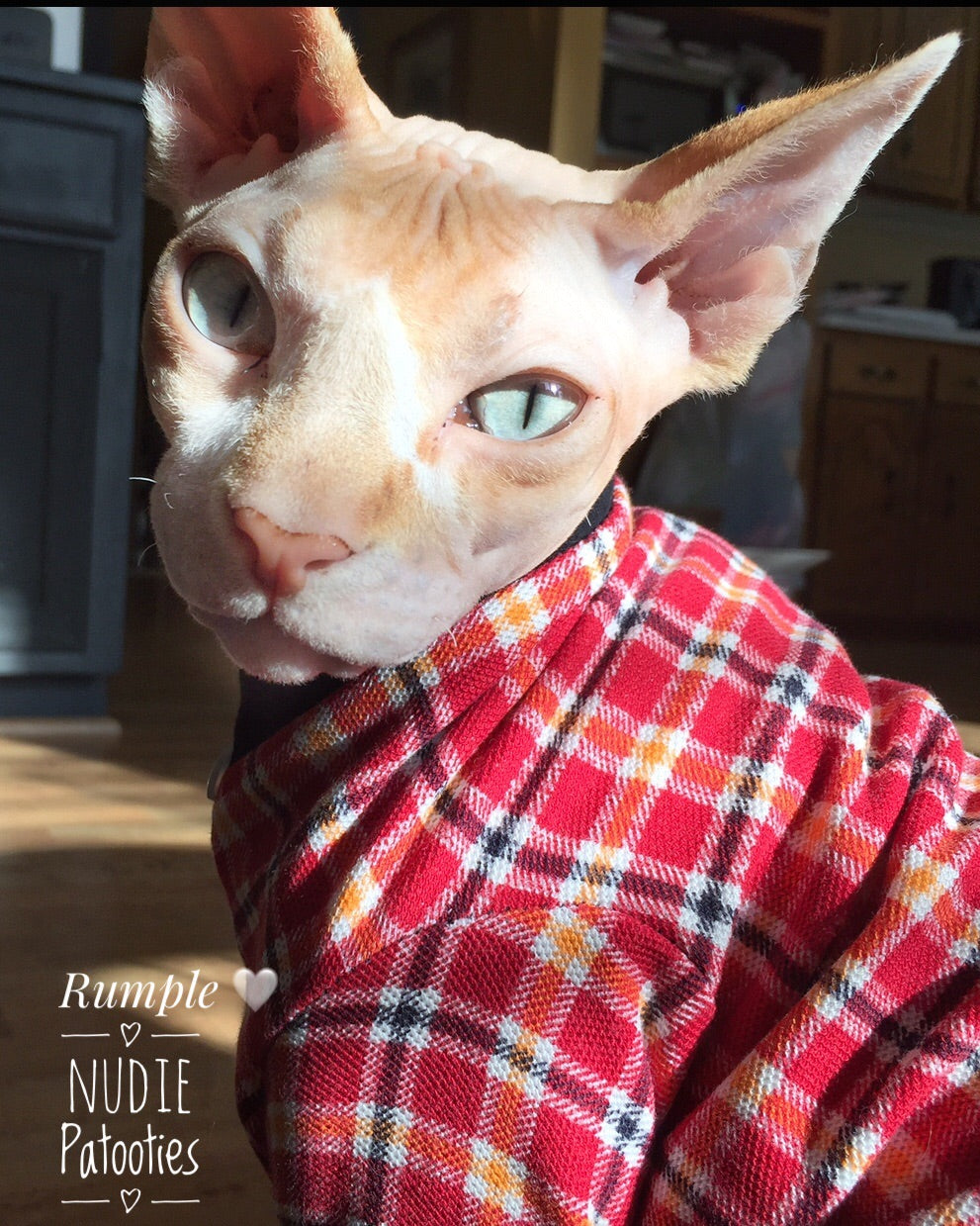 Orange and Red Plaid - Nudie Patooties