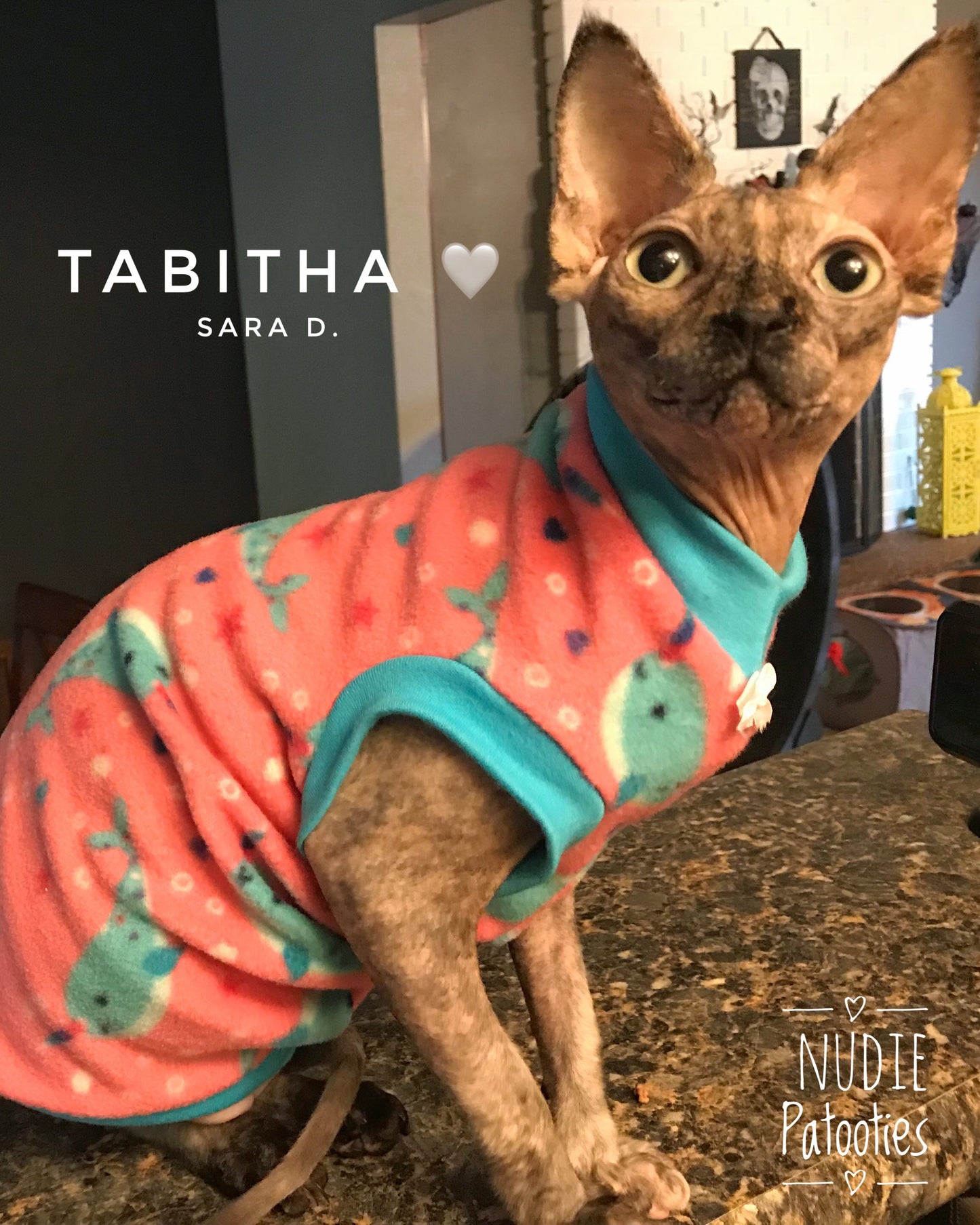 Nudie Patooties Fleece shirt for your sphynx cat, sphynx kitten, Donskoy, Bambino Cat, cornish rex, peterbald and devon rex cat.  Sphynx cat clothes, shirts and sweaters.    