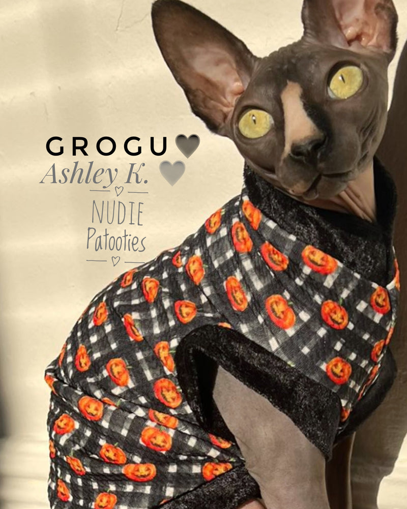 Sphynx Cat and Kitten shirt. sphynx cat clothes
