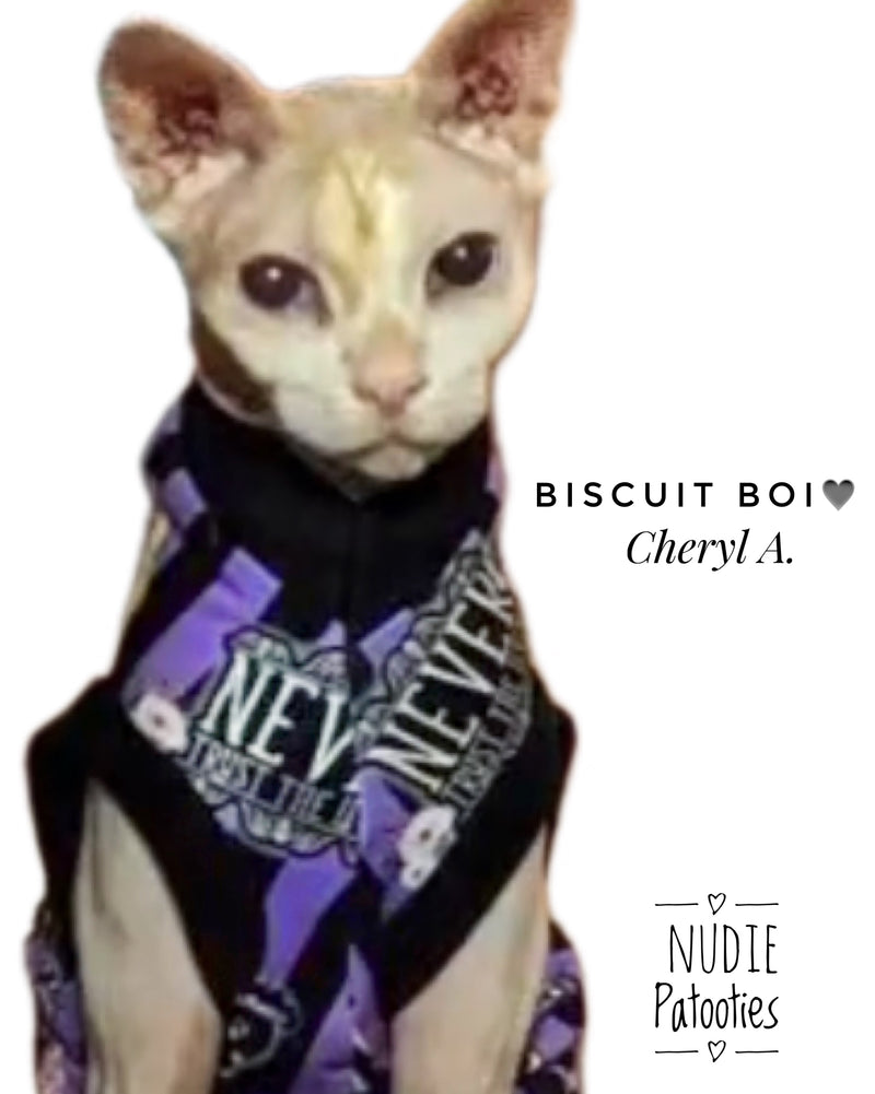 sphynx cat and kitten shirt. sphynx cat clothes