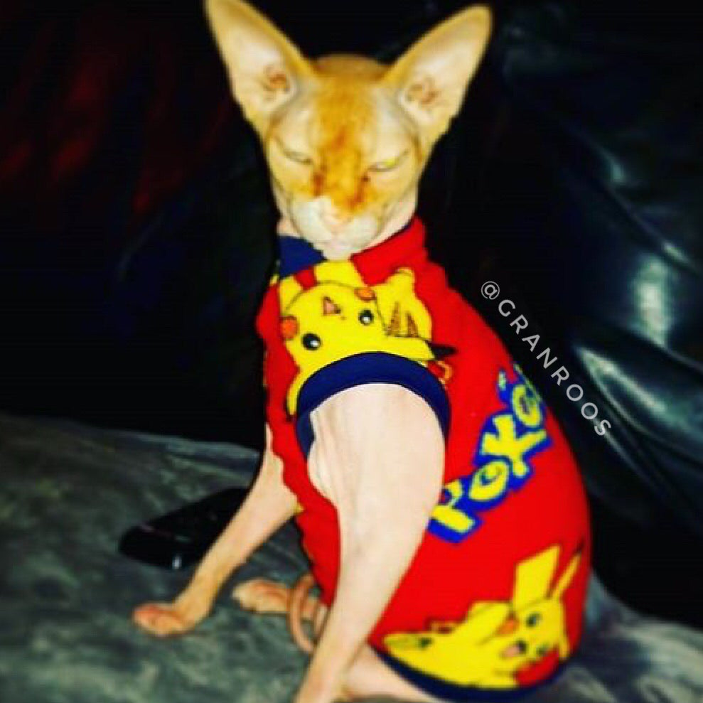 Sphynx cat and kitten shirt. Sphynx cat clothes.