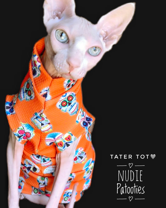 Best Sphynx cat clothing. Hairless cat apparel. Sphynx cat sweaters. Cat clothes for hairless cats. Warm sphynx cat outfits. Sphynx cat hoodies. Cozy cat wear. Cat shirts for Sphynx.  Pet clothing for Sphynx cats. Winter clothes for sphynx cats. Sphynx cat fashion.  Hairless cat t-shirts. Soft cat jumpers. Seasonal cat clothing.