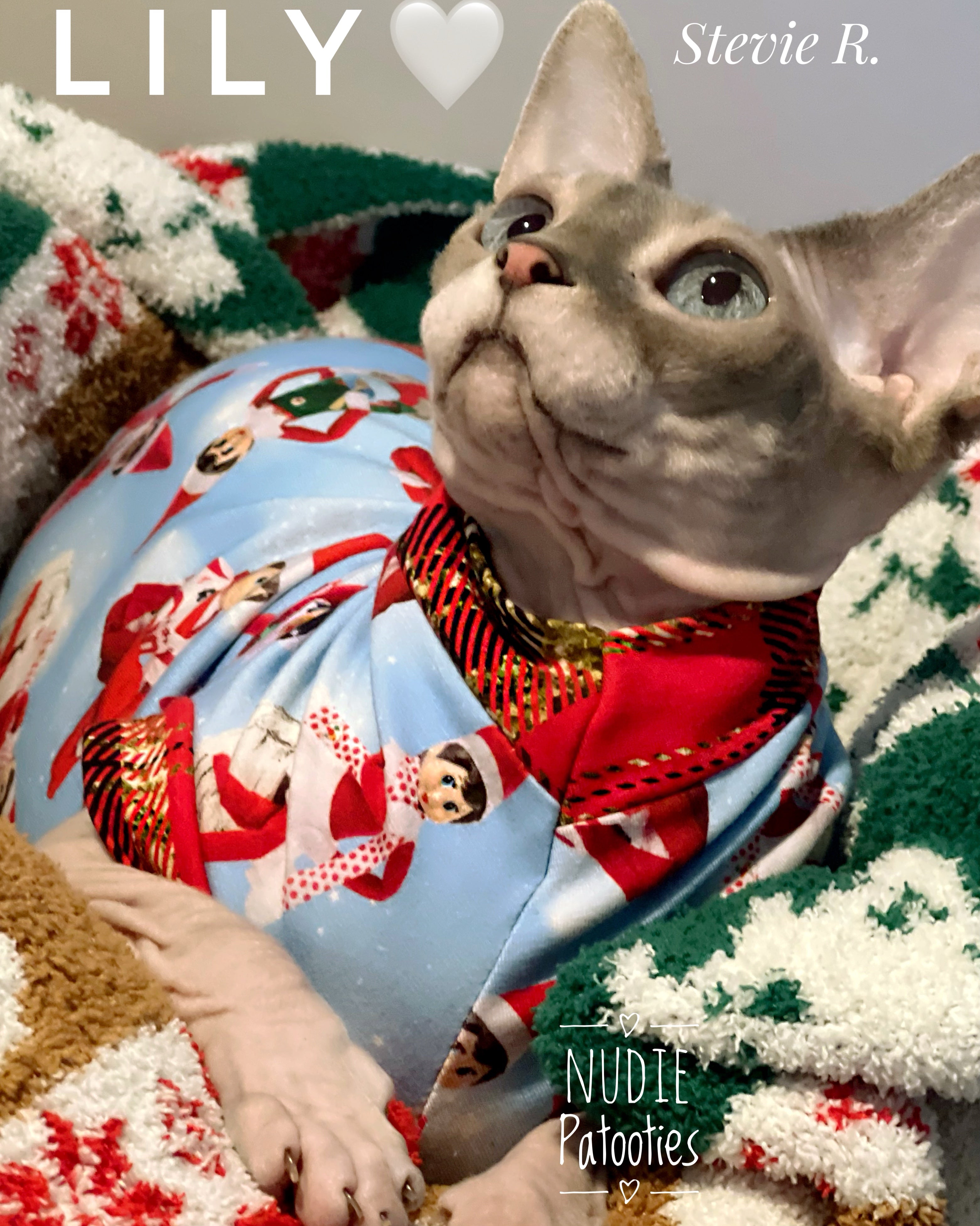 Best sphynx cat clothes.  Sphynx cat and kitten Christmas shirt 