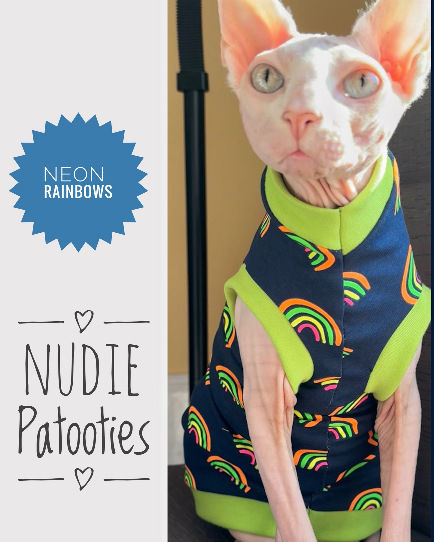 Sphynx cat and kitten neon rainbow shirt.  Sphynx cat clothes.