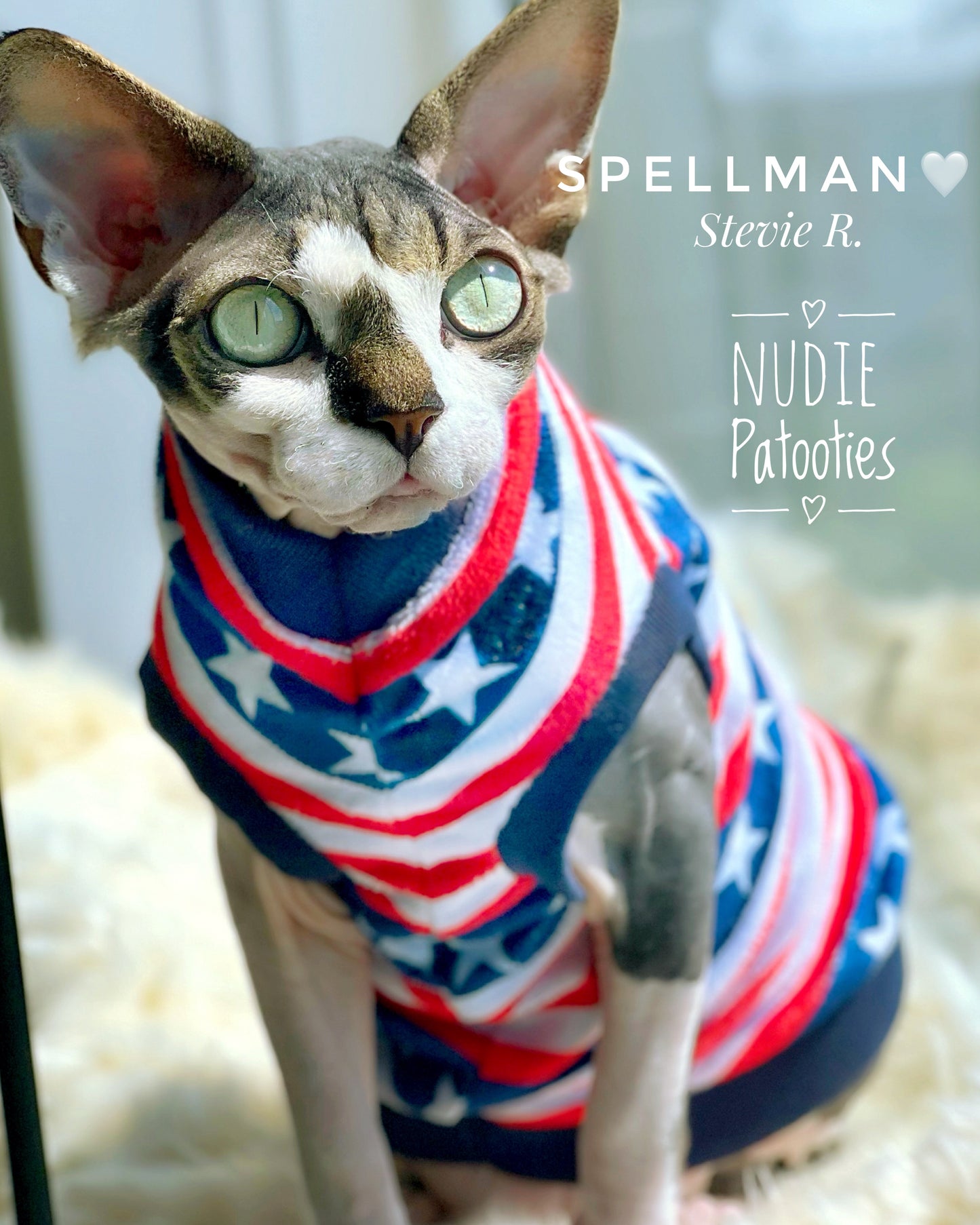 4th of July sphynx cat and kitten shirt.  Sphynx cat and kitten shirt. Best sphynx cat and kitten clothes, shirts and swag.  