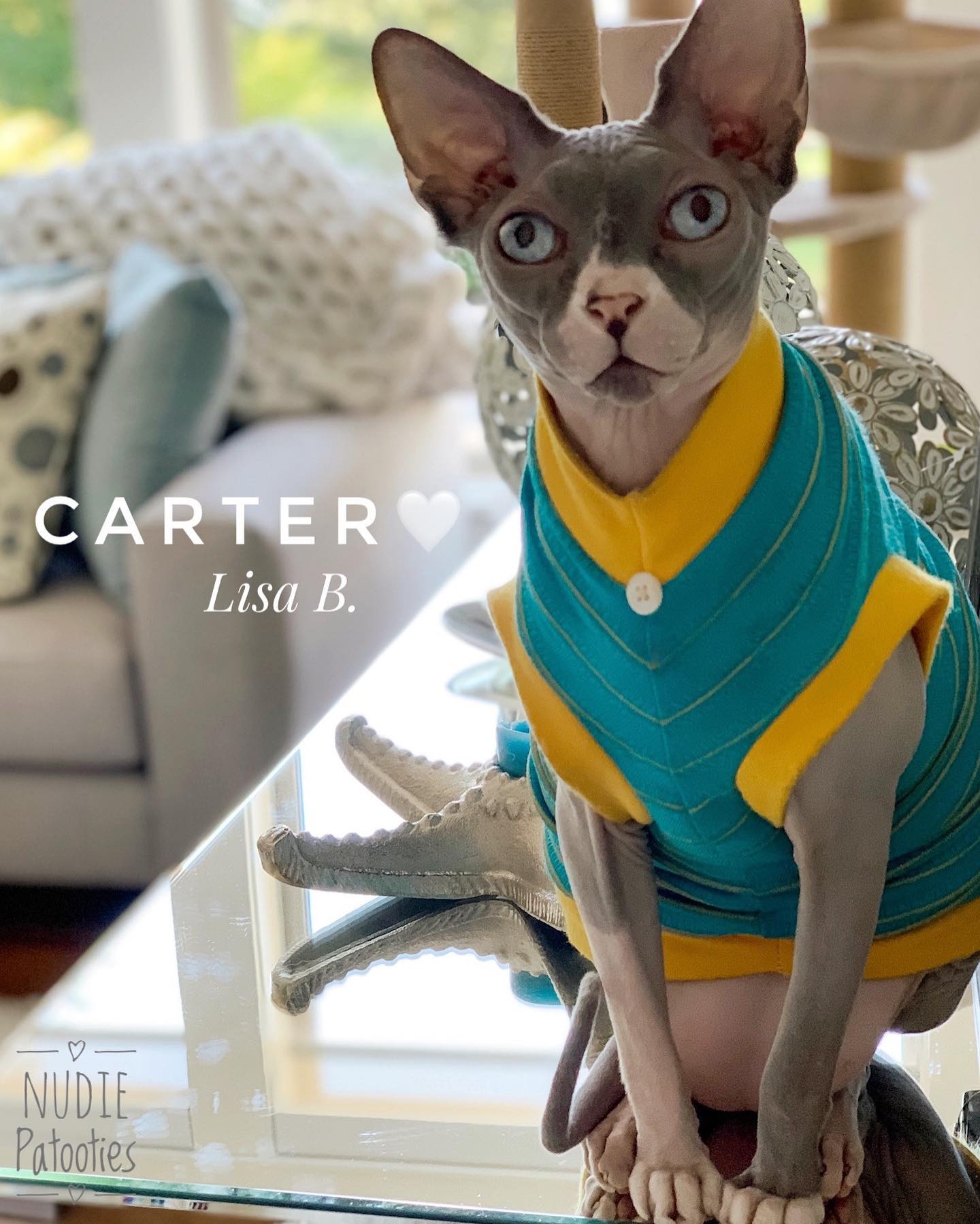 Cat sales smoking jacket