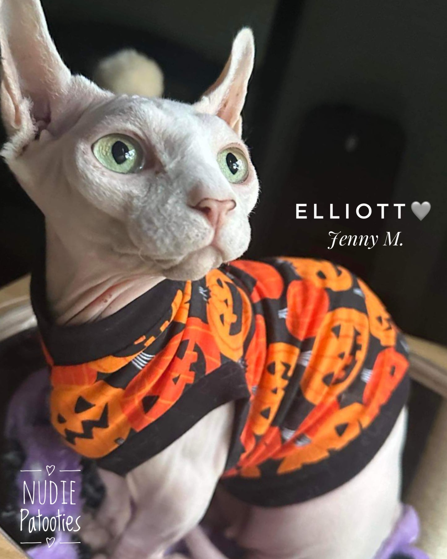 Best Sphynx cat clothing. Hairless cat apparel. Sphynx cat sweaters. Cat clothes for hairless cats. Warm sphynx cat outfits. Sphynx cat hoodies. Cozy cat wear. Cat shirts for Sphynx.  Pet clothing for Sphynx cats. Winter clothes for sphynx cats. Sphynx cat fashion.  Hairless cat t-shirts. Soft cat jumpers. Seasonal cat clothing.