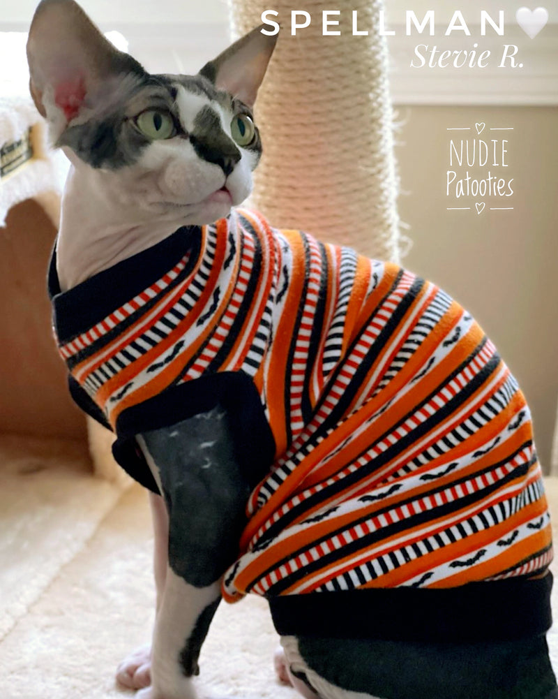 Halloween sphynx cat and kitten shirt.  sphynx cat clothes