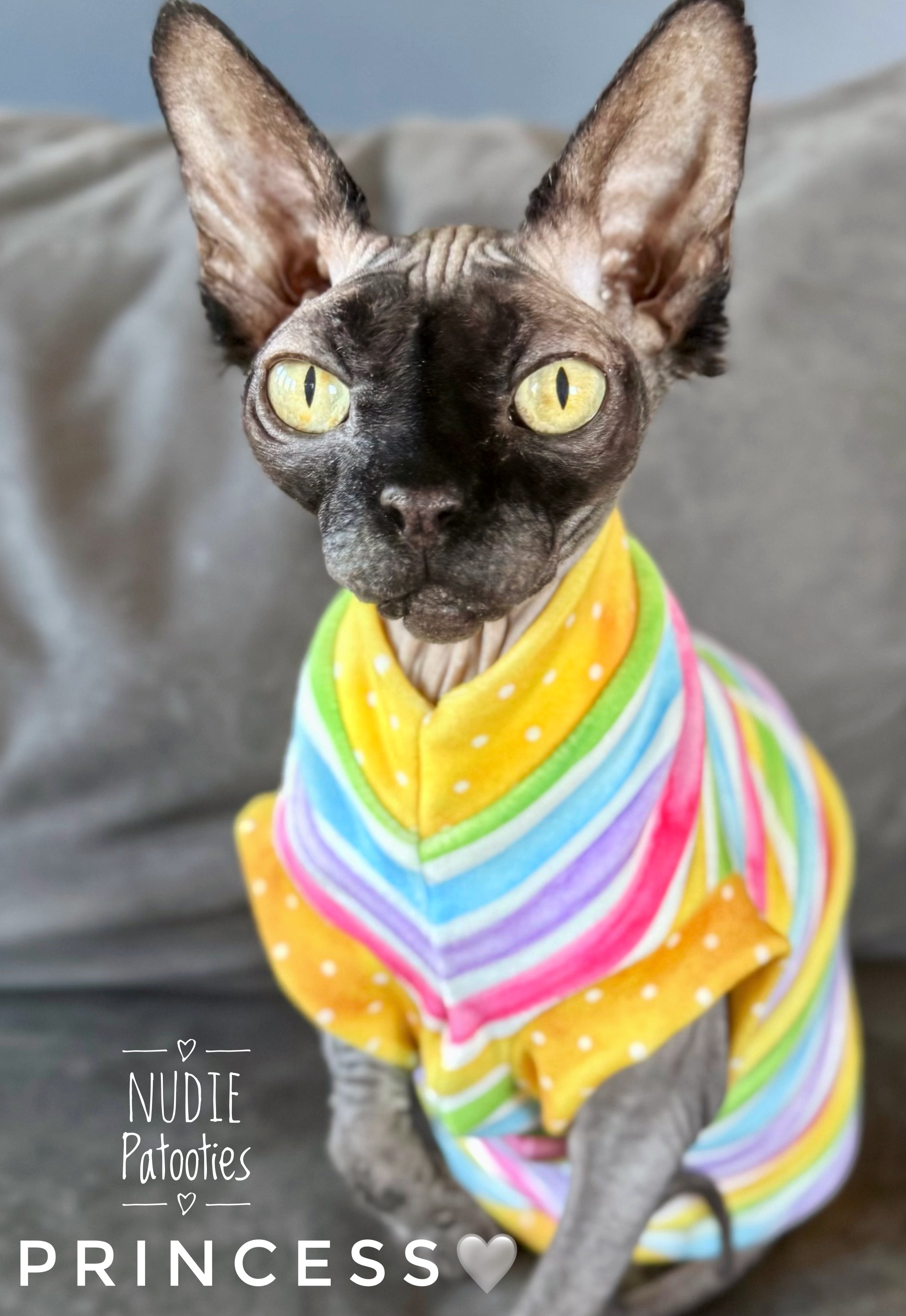 Sphynx cat and kitten bright soft shirt.  Best sphynx cat and hairless cat clothes, shirts, sweaters and swag.