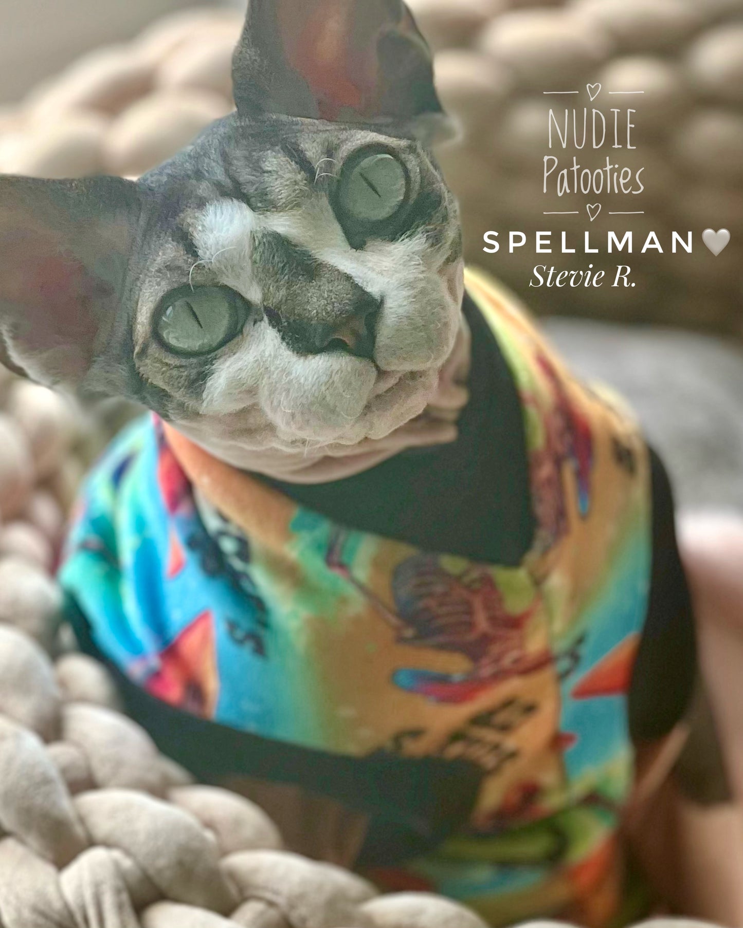 Sumerween or Halloween sphynx cat plush shirt featuring surfing skeletons.  Best sphynx cat and kitten clothes, shirts and swag. 