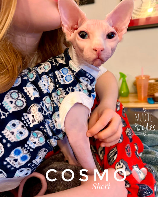 Sphynx cat minky skull shirt. Best Sphynx cat clothes. 