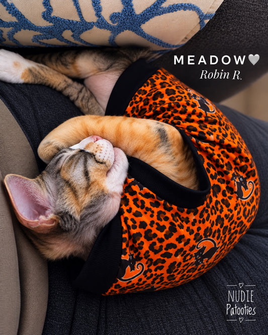     Meadow curled up asleep in an orange leopard print Sphynx cat shirt with black trim by Nudie Patooties.