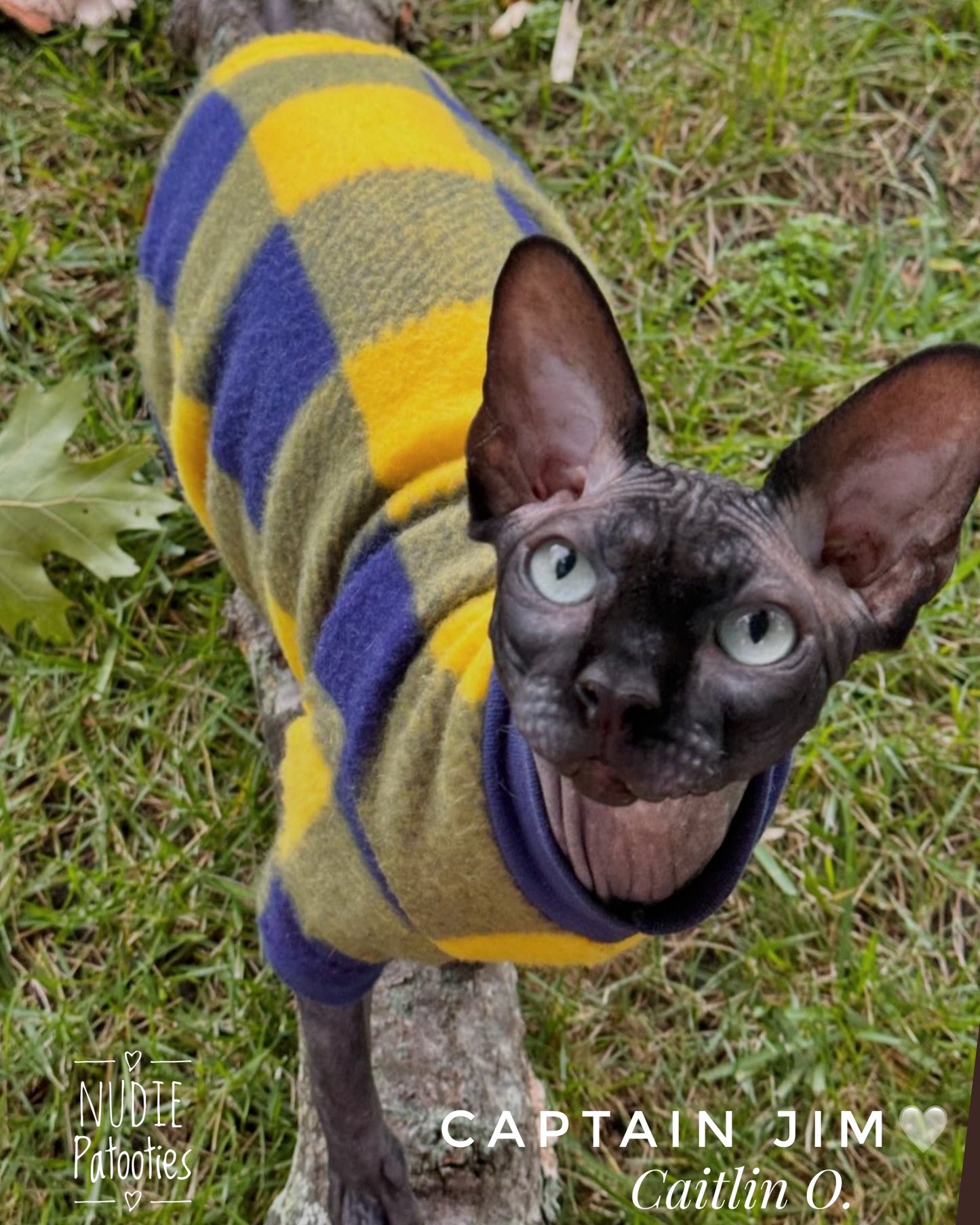 Best Sphynx cat clothing. Hairless cat apparel. Sphynx cat sweaters. Cat clothes for hairless cats. Warm sphynx cat outfits. Sphynx cat hoodies. Cozy cat wear. Cat shirts for Sphynx.  Pet clothing for Sphynx cats. Winter clothes for sphynx cats. Sphynx cat fashion.  Hairless cat t-shirts. Soft cat jumpers. Seasonal cat clothing.