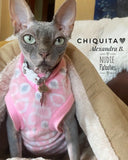 sphynx cat and kitten fleece shirt.  sphynx cat clothes