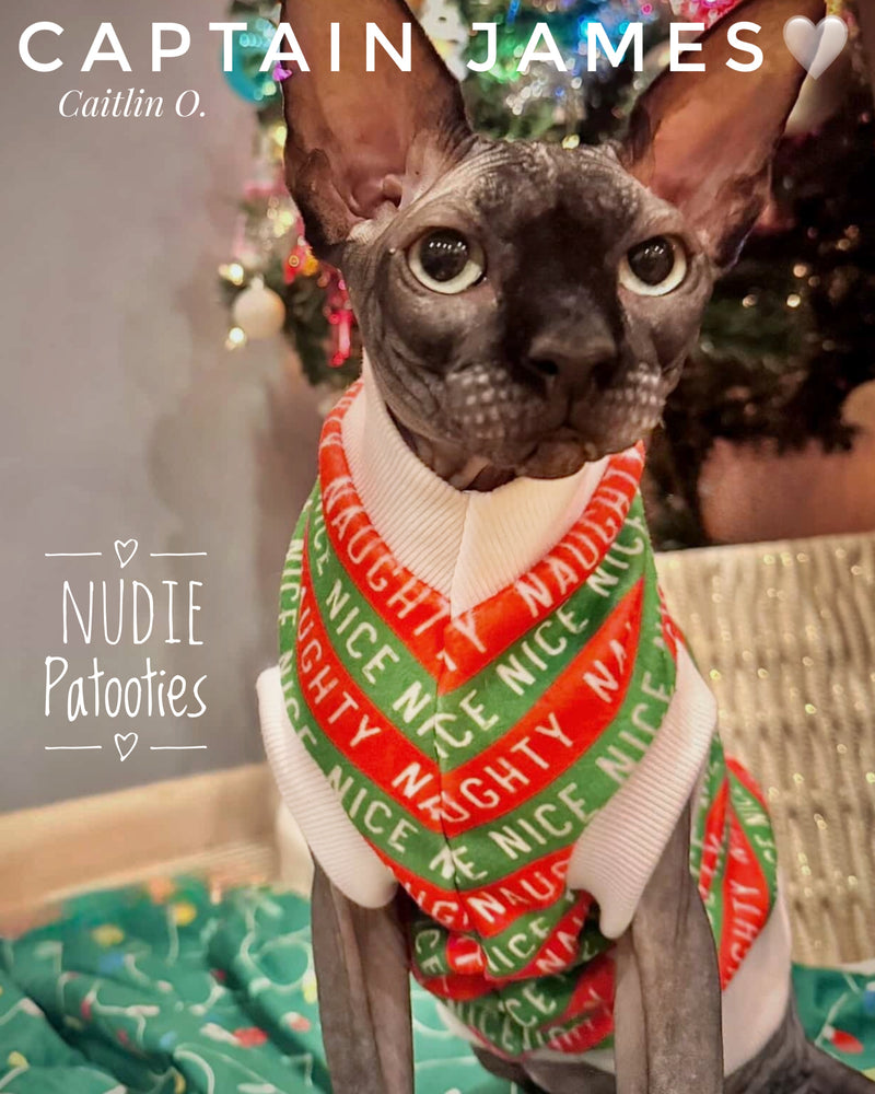 Festive Naughty Nice Stripped fleece shirt for your hairless sphynx cat and kitten.  Best sphynx cat clothes and shirts.