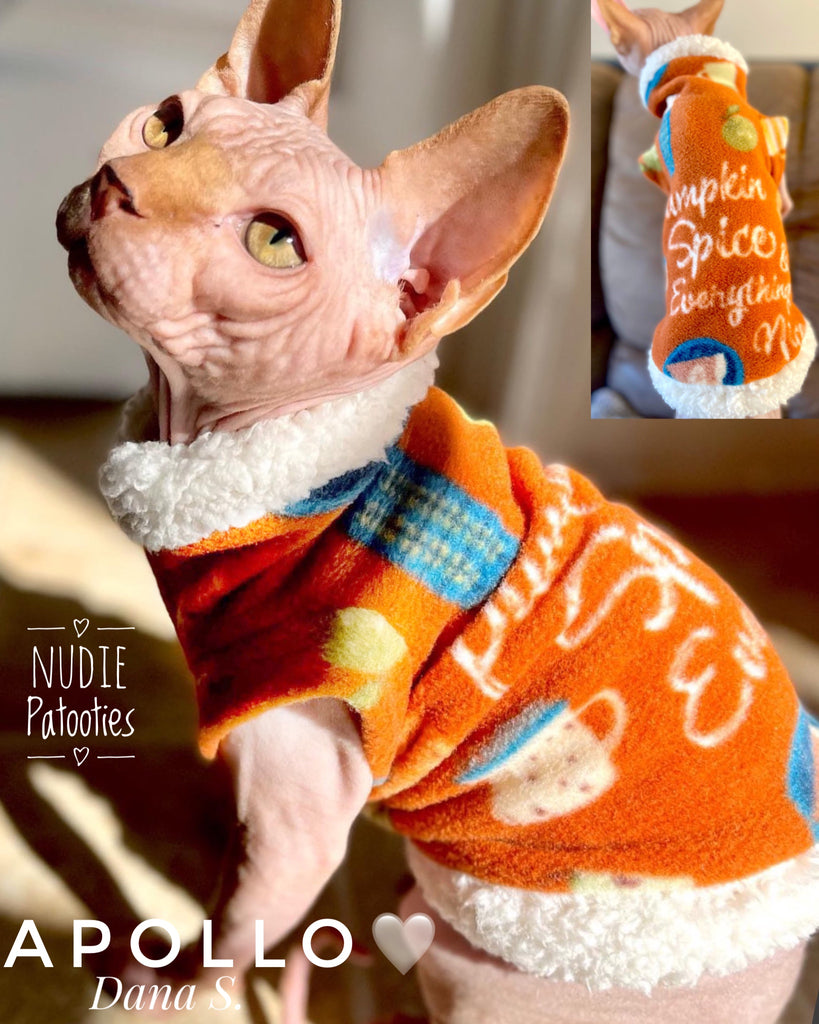 Pumpkin Spice sphynx cat and kitten fleece shirt.  sphynx cat clothes