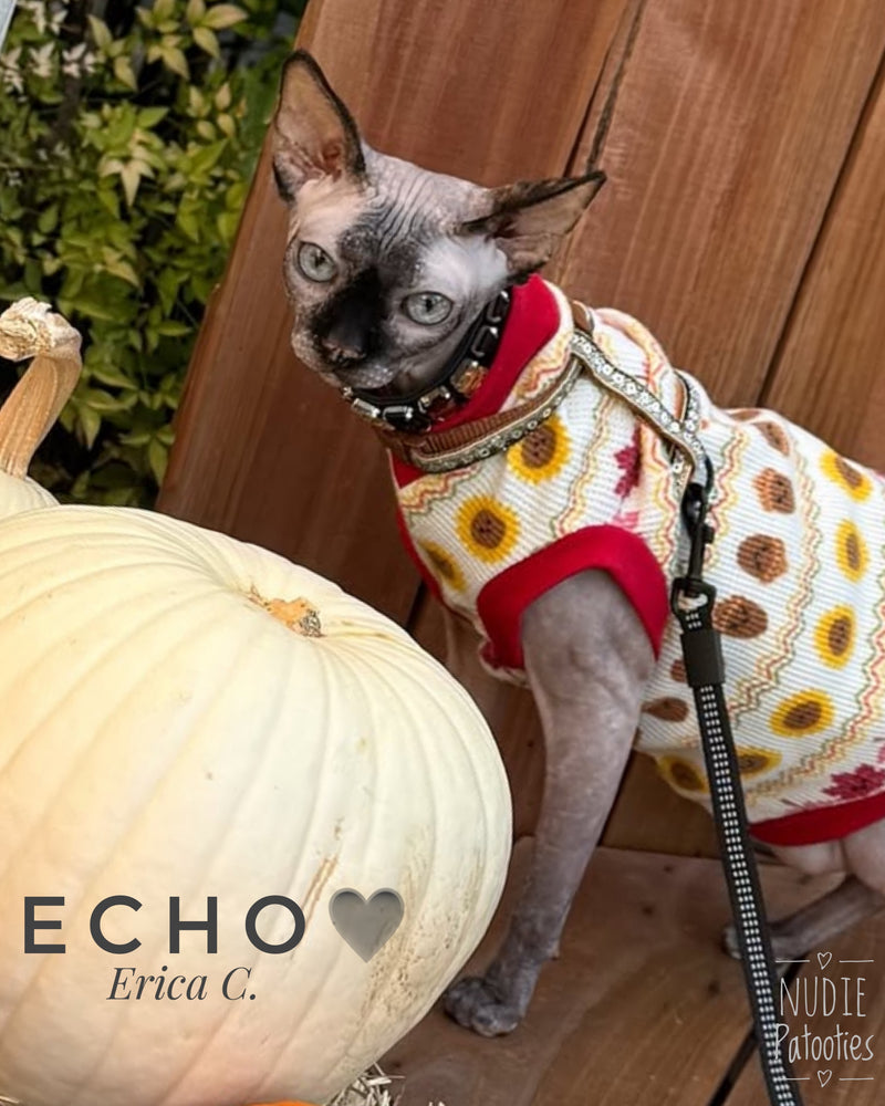 Fall waffle sphynx cat and kitten shirt.  Best sphynx cat clothes. 