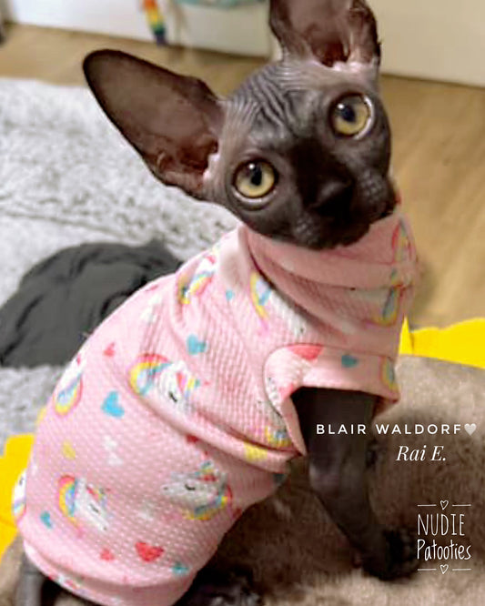 Sphynx cat and kitten unicorn shirt.  Best Sphynx cat clothes.