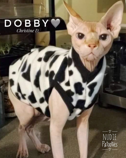 Best Sphynx cat clothing. Hairless cat apparel. Sphynx cat sweaters. Cat clothes for hairless cats. Warm sphynx cat outfits. Sphynx cat hoodies. Cozy cat wear. Cat shirts for Sphynx.  Pet clothing for Sphynx cats. Winter clothes for sphynx cats. Sphynx cat fashion.  Hairless cat t-shirts. Soft cat jumpers. Seasonal cat clothing.