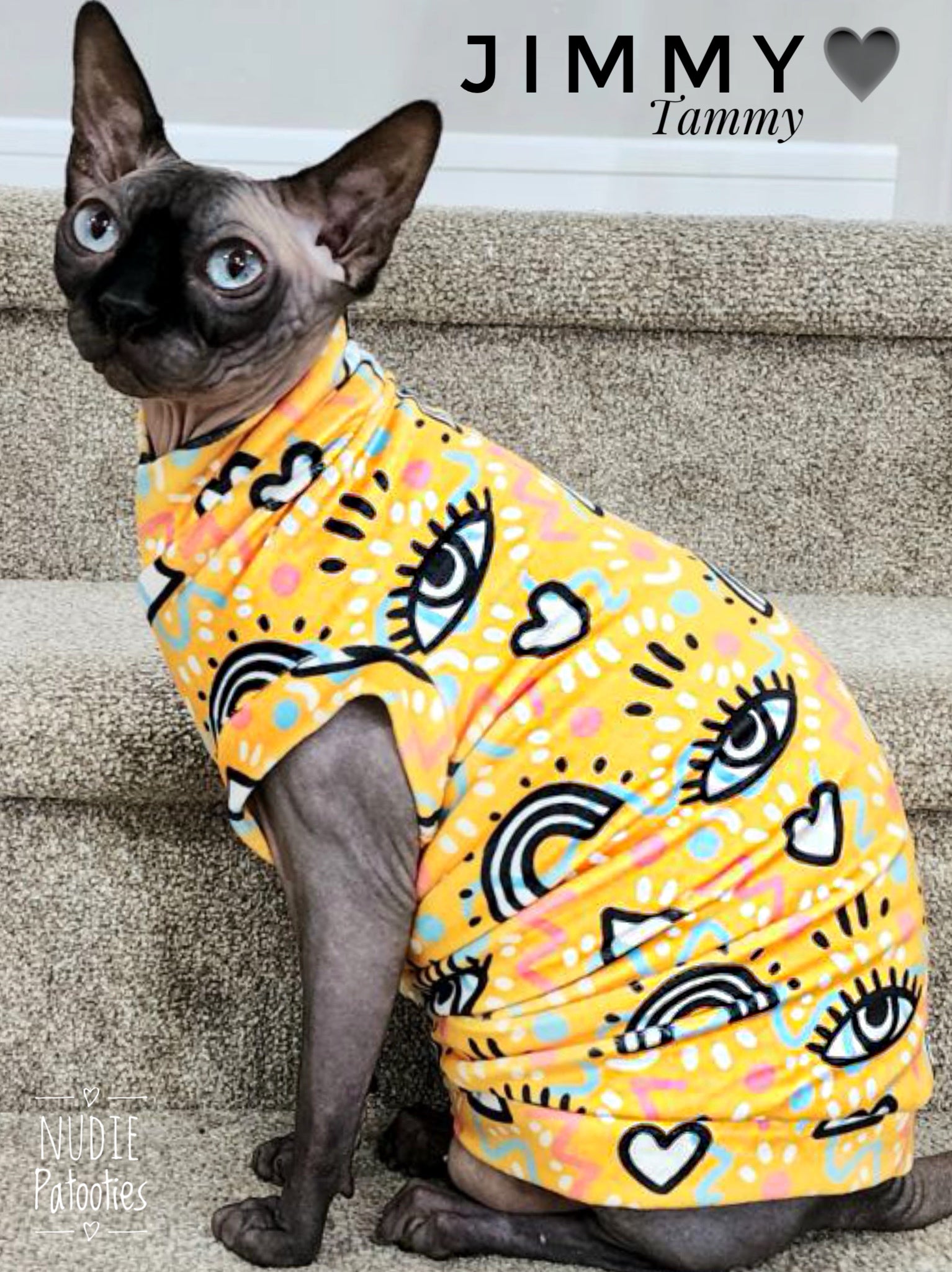 Best Sphynx and hairless cat clothes, shirts, sweaters and swag. Rainbow pride 