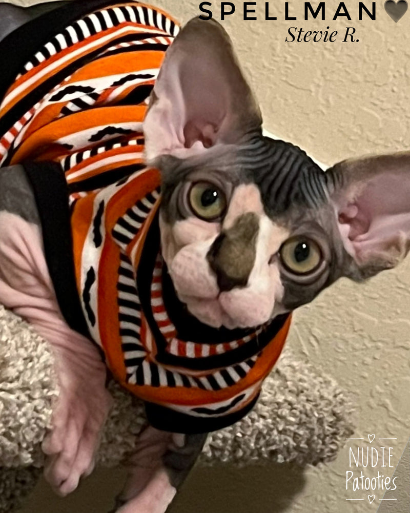 Halloween sphynx cat and kitten shirt.  sphynx cat clothes