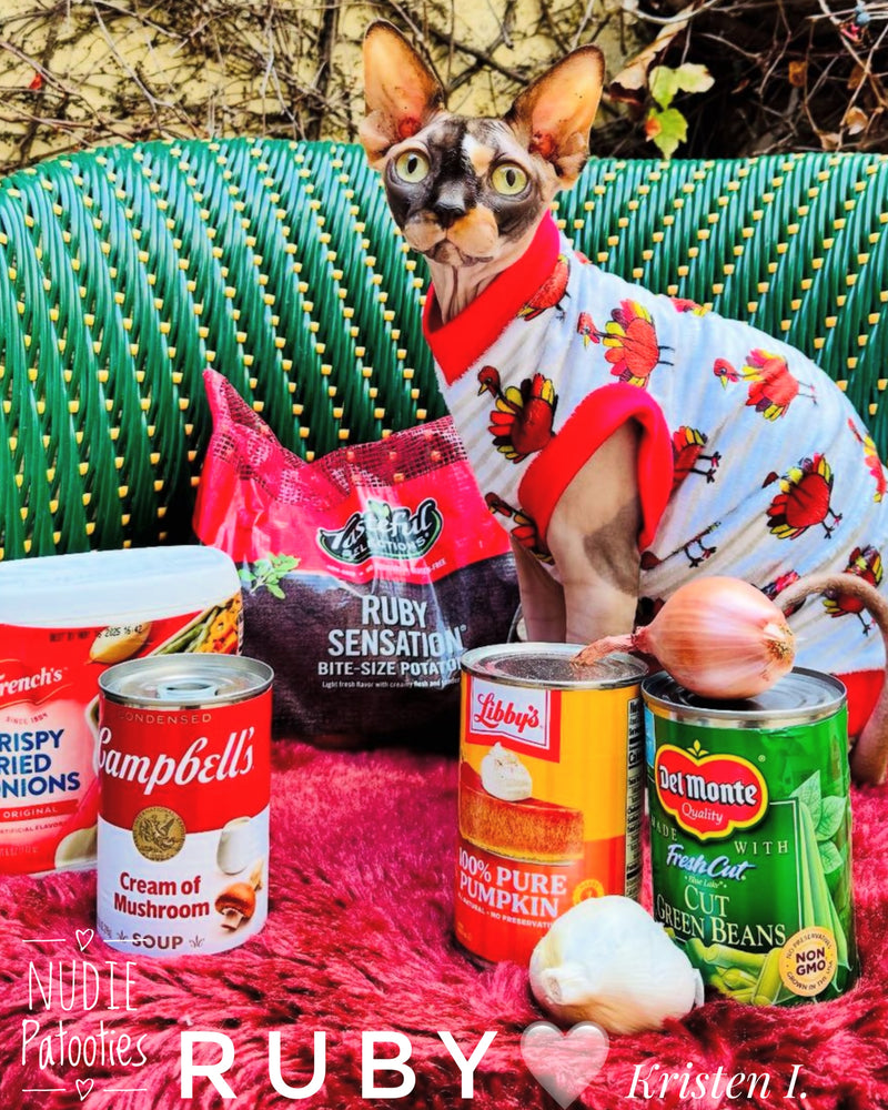 Minky Stripe Thanksgiving Turkeys