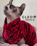 velvet sphynx cat and kitten shirt.  sphynx cat clothes