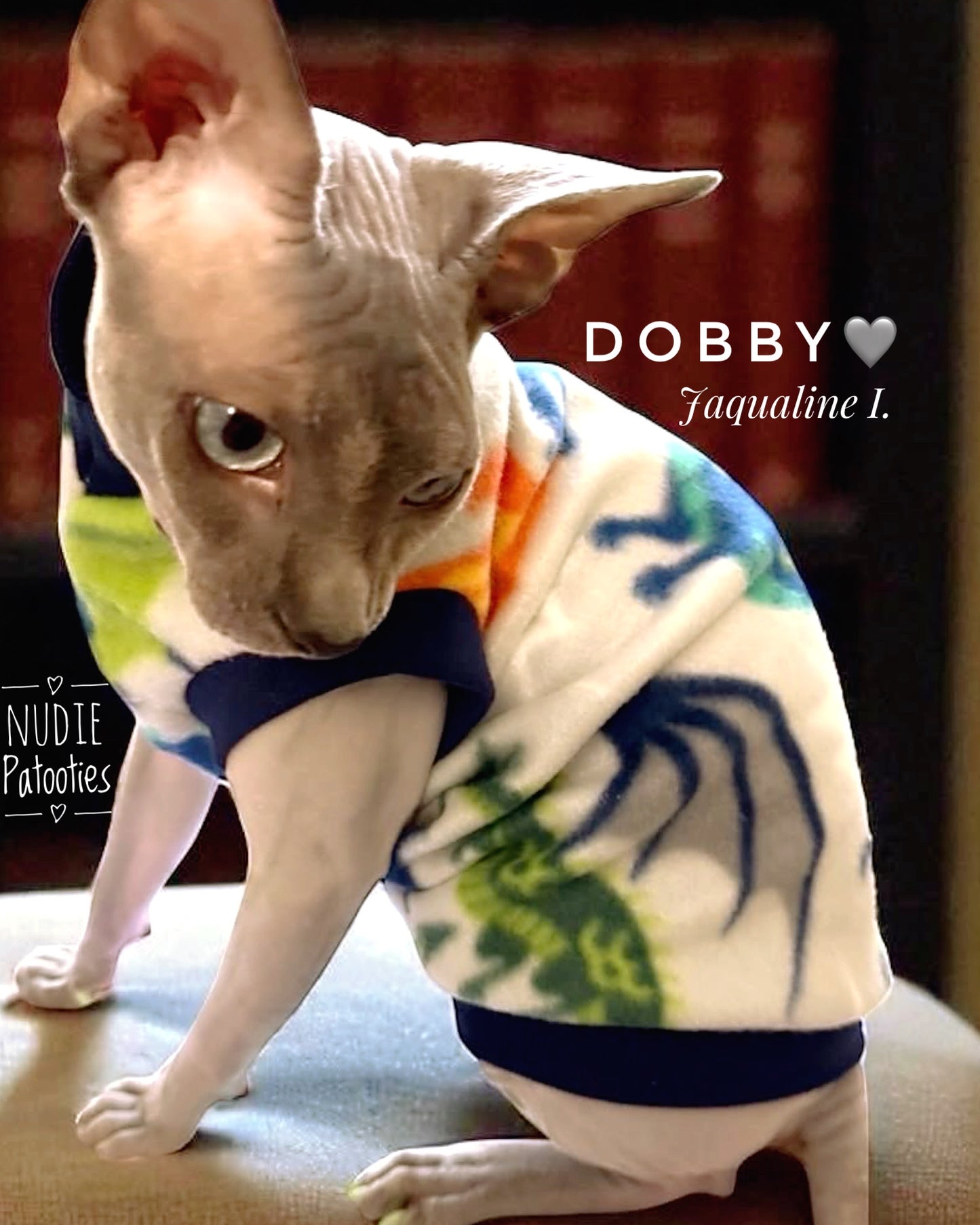 Best sphynx cat clothes, shirts, and sphynx swag