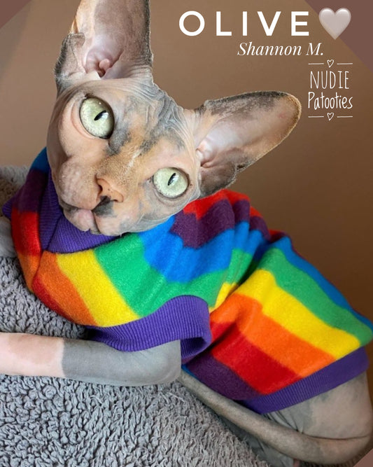 Best Sphynx cat clothing. Hairless cat apparel. Sphynx cat sweaters. Cat clothes for hairless cats. Warm sphynx cat outfits. Sphynx cat hoodies. Cozy cat wear. Cat shirts for Sphynx.  Pet clothing for Sphynx cats. Winter clothes for sphynx cats. Sphynx cat fashion.  Hairless cat t-shirts. Soft cat jumpers. Seasonal cat clothing.  Pride rainbow.