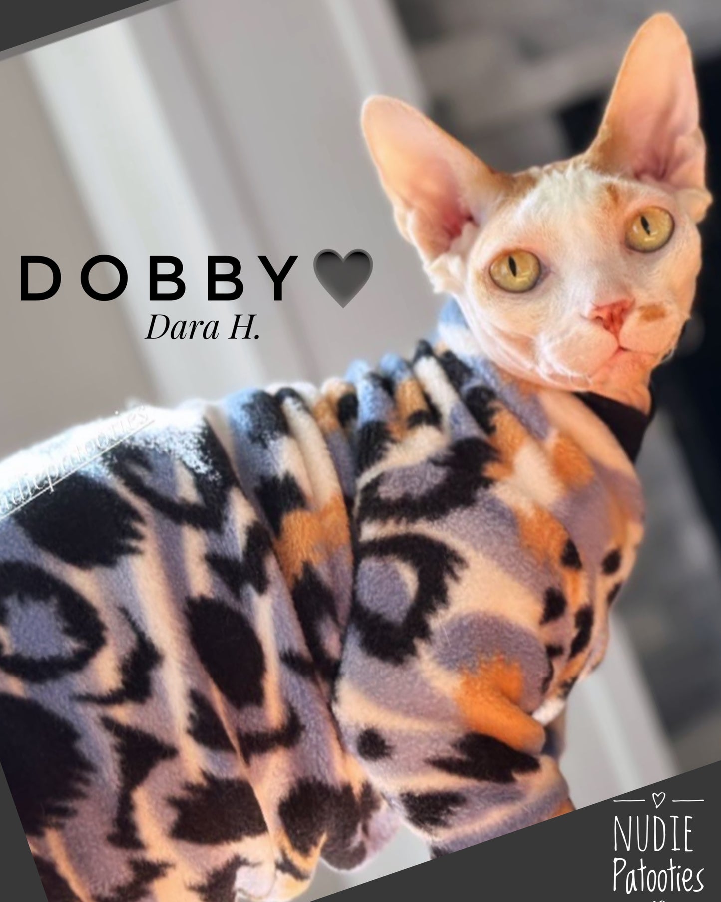 Sphynx cat long sleeve fleece shirt.  Sphynx Cat Clothes