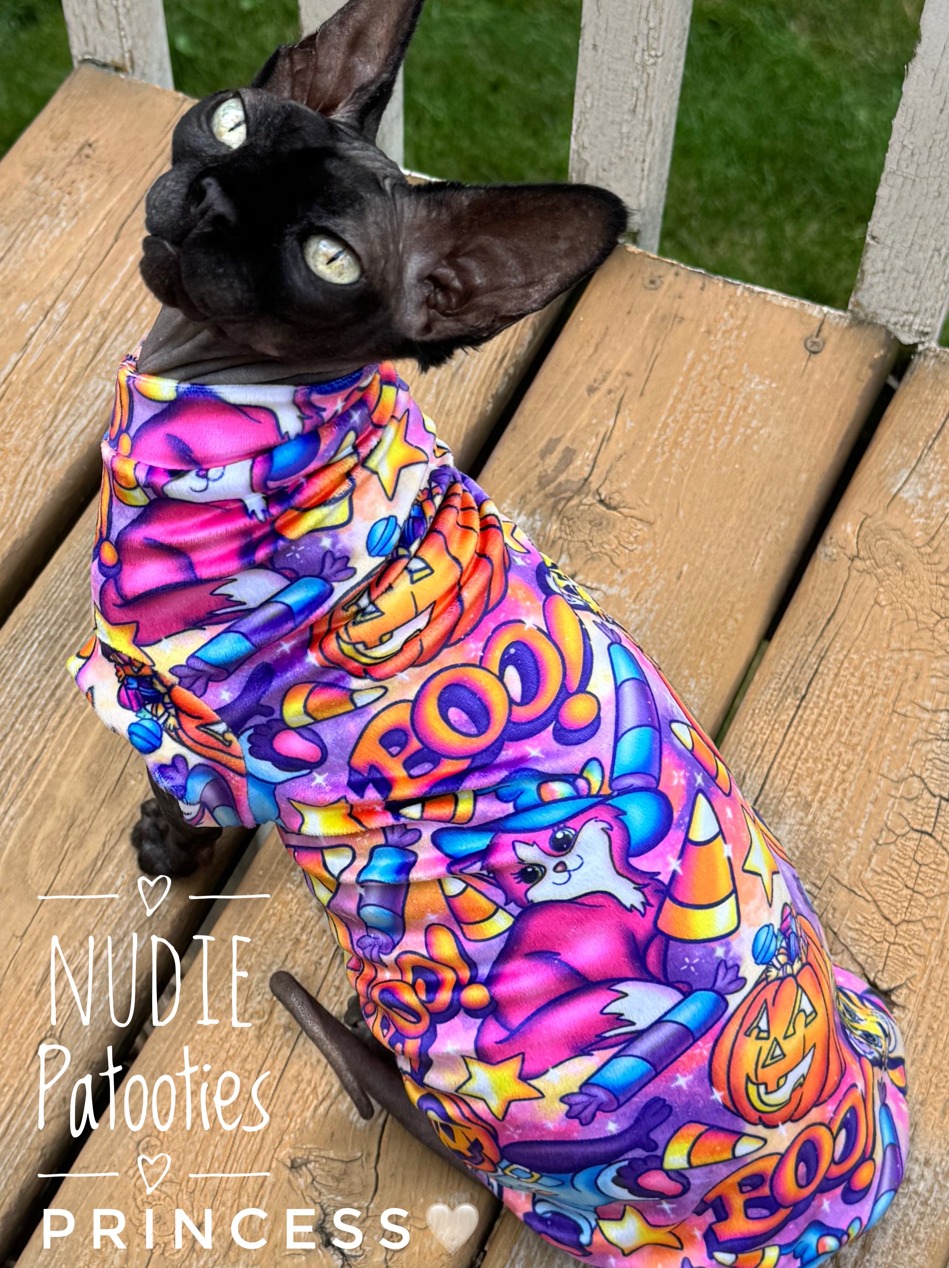 Best Sphynx cat clothing. Hairless cat apparel. Sphynx cat sweaters. Cat clothes for hairless cats. Warm sphynx cat outfits. Sphynx cat hoodies. Cozy cat wear. Cat shirts for Sphynx.  Pet clothing for Sphynx cats. Winter clothes for sphynx cats. Sphynx cat fashion.  Hairless cat t-shirts. Soft cat jumpers. Seasonal cat clothing.