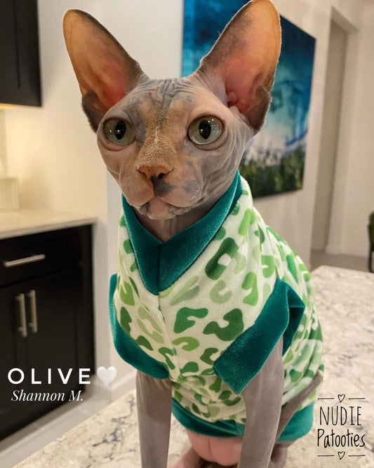  Sphynx cat and kitten fleece shirt.  sphynx cat clothes