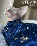 sphynx cat and kitten shirt.  sphynx cat clothes