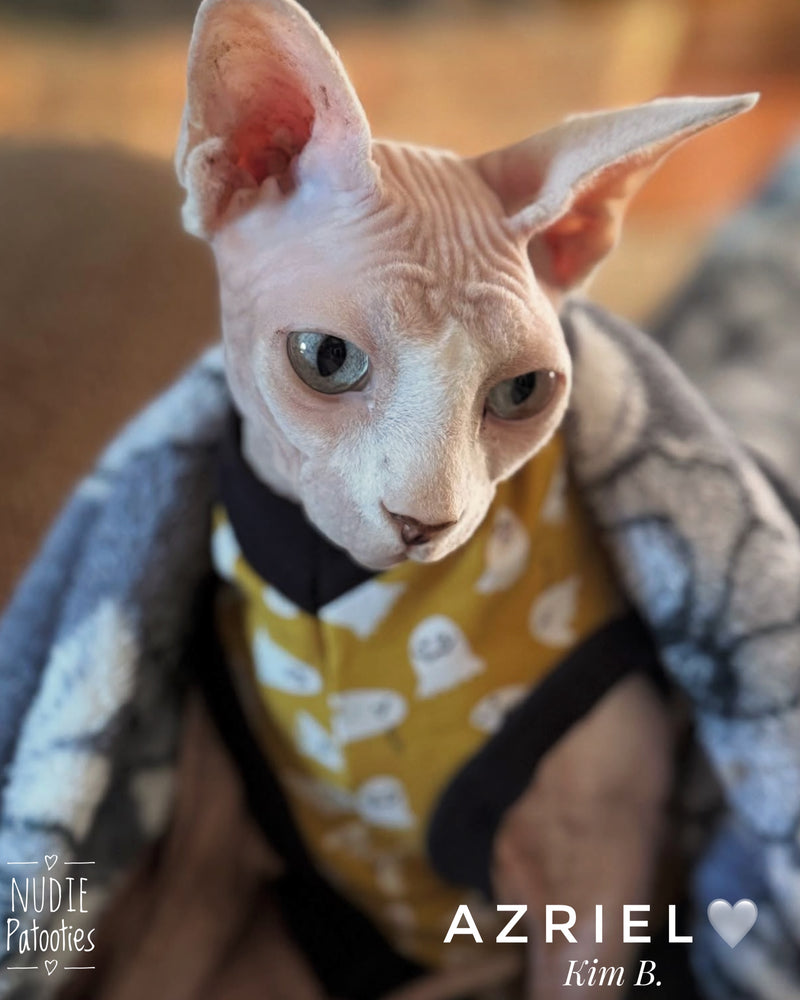 Mini Ghosts on Mustard